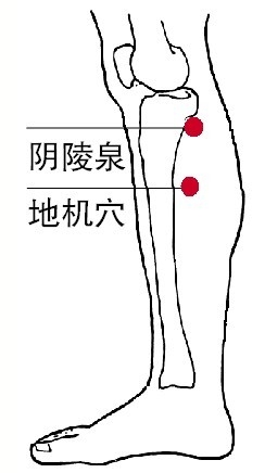 刮痧祛湿 重点刮7大养生穴位