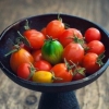 常吃番茄养颜治病 西红柿的10大养生功效