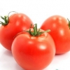饮食常识：三招教你辨别健康西红柿
